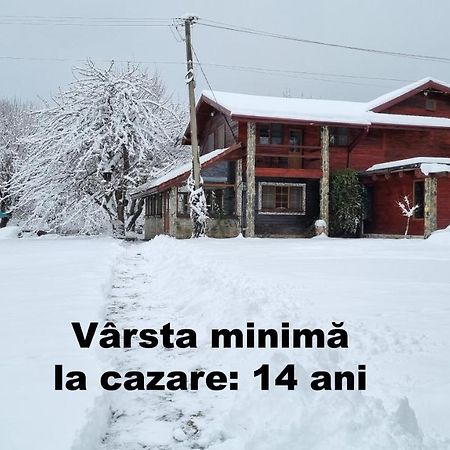 Villa Casa Bunicului Vistisoara Exterior foto