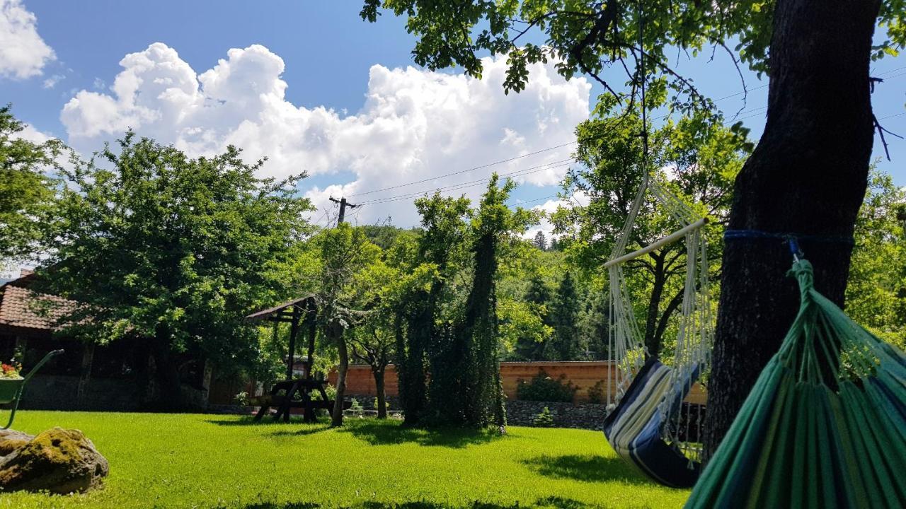 Villa Casa Bunicului Vistisoara Exterior foto