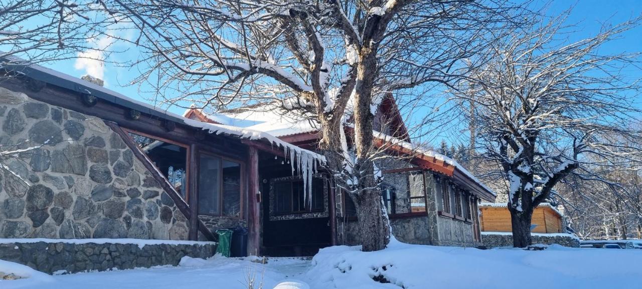 Villa Casa Bunicului Vistisoara Exterior foto