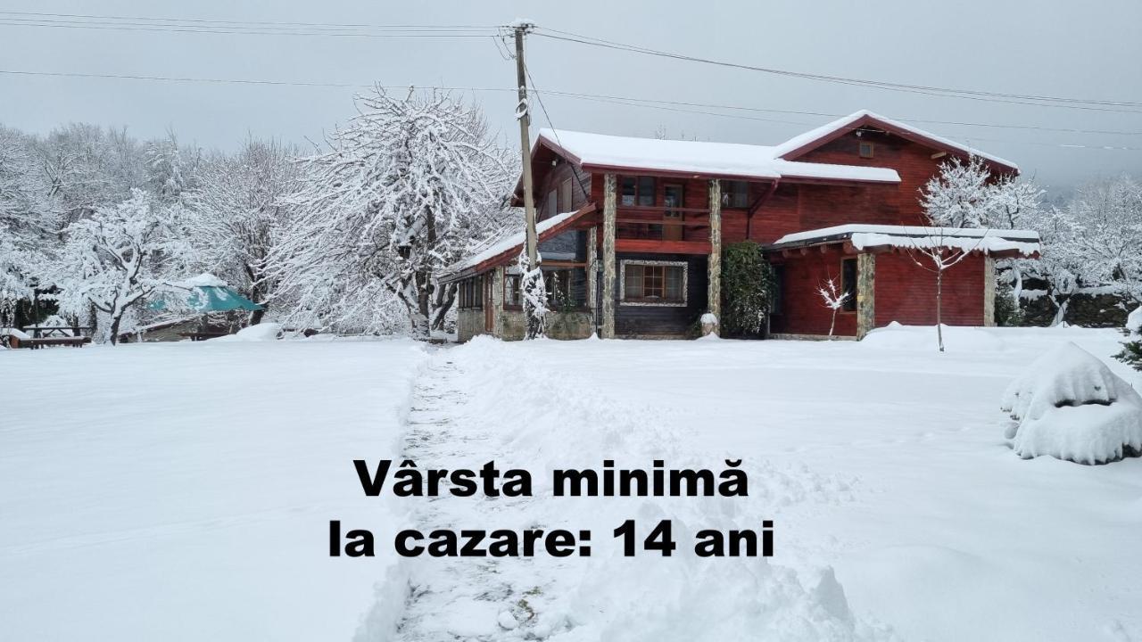 Villa Casa Bunicului Vistisoara Exterior foto