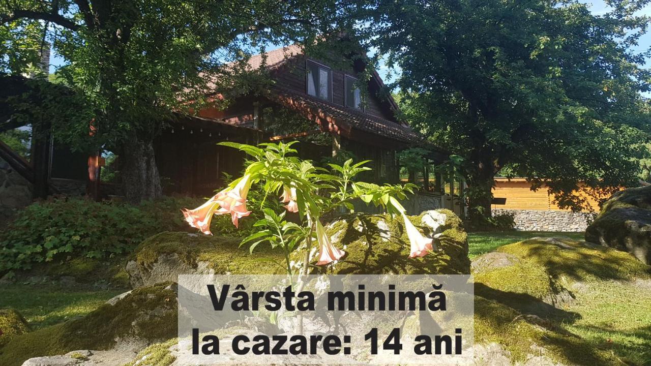 Villa Casa Bunicului Vistisoara Exterior foto
