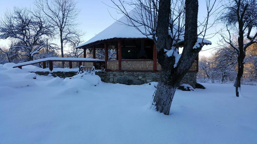 Villa Casa Bunicului Vistisoara Exterior foto