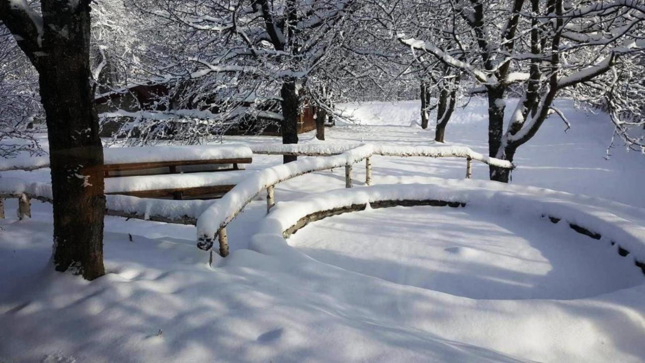 Villa Casa Bunicului Vistisoara Exterior foto
