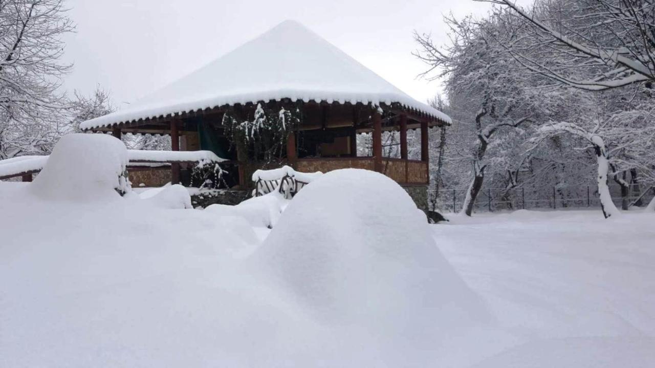 Villa Casa Bunicului Vistisoara Exterior foto